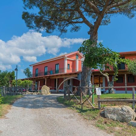 Terra Di Vento Bed & Breakfast Montecorvino Pugliano Екстериор снимка