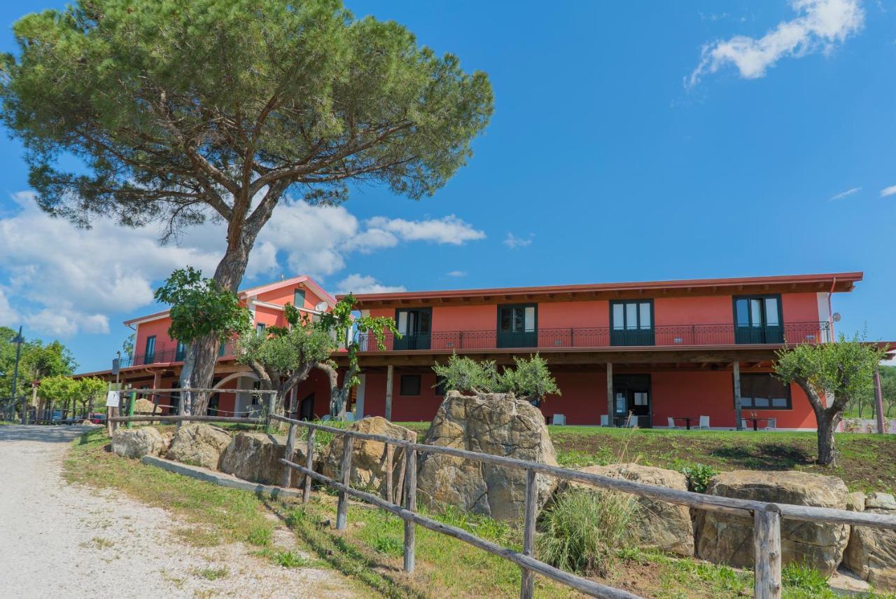 Terra Di Vento Bed & Breakfast Montecorvino Pugliano Екстериор снимка