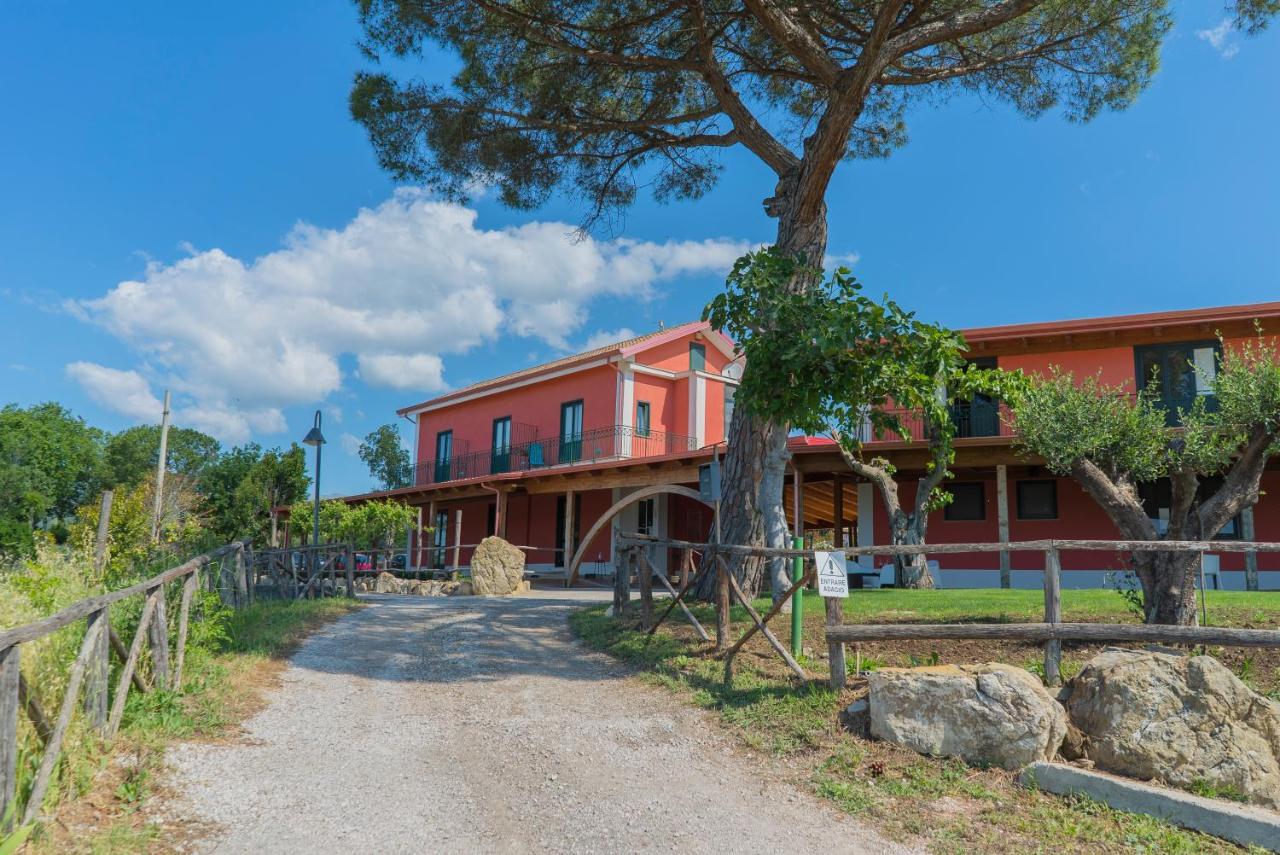 Terra Di Vento Bed & Breakfast Montecorvino Pugliano Екстериор снимка